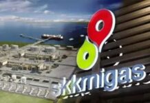 Berhasil Kembangkan Blok Jabung, SKK Migas Nilai Investasi PetroChina Makin Agresif