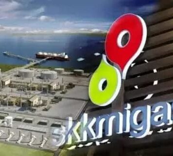 Berhasil Kembangkan Blok Jabung, SKK Migas Nilai Investasi PetroChina Makin Agresif