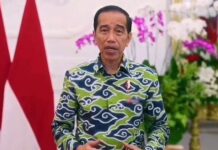 HLN Ke-78, Presiden Jokowi Beri Selamat ke PLN, Berpesan untuk Wujudkan Ketahanan Energi hingga Menerangi Pelosok Negeri