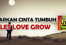 Lirik Lagu Biarkan Cinta Tumbuh Sebisanya - Abil Ska 86, Nikisuka