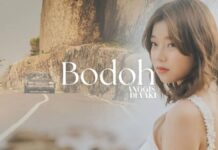Lirik Lagu Bodoh - Anggis Devaki