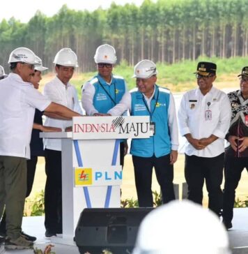 Presiden Jokowi Groundbreaking Pembangunan PLTS PLN 50 MW di IKN Nusantara, Hadirkan 100 Persen Energi Bersih