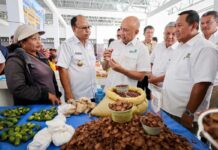 Kemenkop UKM Revitalisasi Pasar Kareka Nduku Selatan untuk Penuhi Kebutuhan Masyarakat Sumba Barat