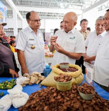 Kemenkop UKM Revitalisasi Pasar Kareka Nduku Selatan untuk Penuhi Kebutuhan Masyarakat Sumba Barat