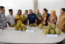 Kemenkop UKM: Ekosistem Bisnis Kondusif, Durian Lokal Mampu Bersaing di Pasar Global