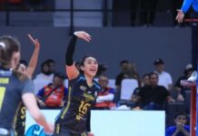 PLN Mobile Proliga 2024: Electric PLN Pastikan Lolos Final Four, Usai Kalahkan Petrokimia