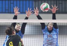 Lima Tim Putra dan Tujuh Putri Ramaikan Proliga 2025