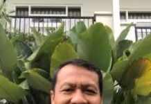 Tembus 1,5 Juta Pengguna, Platform Digital S.id Kian Dominan dan Menuju Global