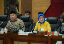 DPR RI Setujui Naturalisasi Ole Romeny, Tim Geypens, dan Dion Markx