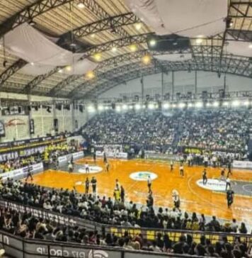 Paruh Musim IBL 2025: RANS Simba Bogor Tampil Luar Biasa , Hangtuah Jakarta Buat Kejutan