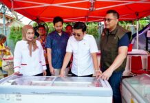 Jaga Daya Beli dan Kendalikan Inflasi, Bapanas Dorong Pemda Siapkan APBD Khusus Pangan