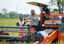 Stabilitas Pangan Pokok Aman Selama Ramadan dan Idulfitri, Bakti dan Kerja Keras Pemerintah Bagi Rakyat