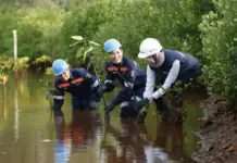 Konsisten Dukung NZE, Grup MIND ID Tanam 126.000 Mangrove