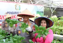Dukung Ketahanan Pangan, Kapolda Kalteng Bersama Bhayangkari Panen Sayur di Lahan Pekarangan Pangan Lestari