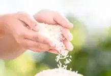 Akademisi IPB Soroti Kasus Beras Oplosan, Kecurangan Industri Agribisnis Mainkan Mutu Produk Jangan Dinormalisasi