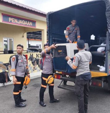 Korsabhara Baharkam Polri, Terjunkan Unit K-9 SAR di Polda NAD